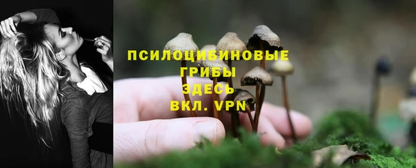 ешки Алексин