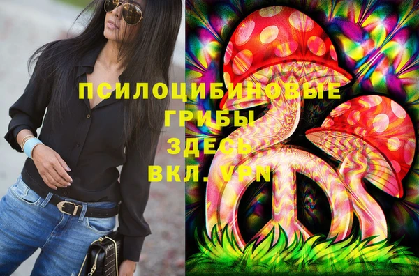 круглые Алзамай