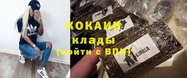 ешки Алексин