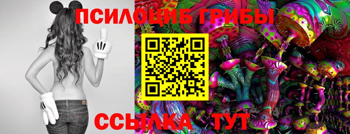 Псилоцибиновые грибы GOLDEN TEACHER  Галлюциногенные грибы мухоморы  Вход с VPN  Тында 