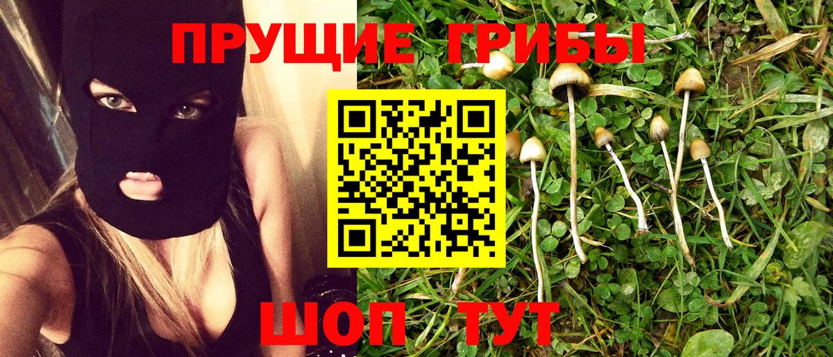 Галлюциногенные грибы MAGIC MUSHROOMS Тында